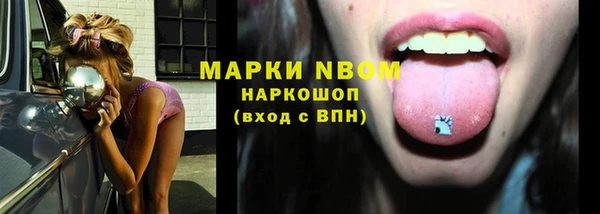 ПСИЛОЦИБИНОВЫЕ ГРИБЫ Алексин