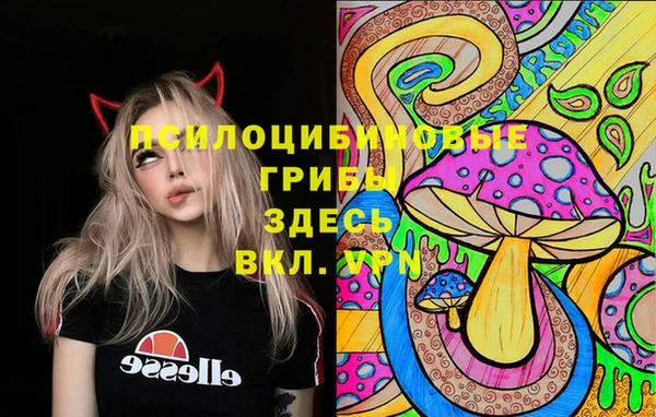 ПСИЛОЦИБИНОВЫЕ ГРИБЫ Алексин