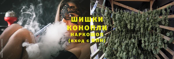 ПСИЛОЦИБИНОВЫЕ ГРИБЫ Алексин