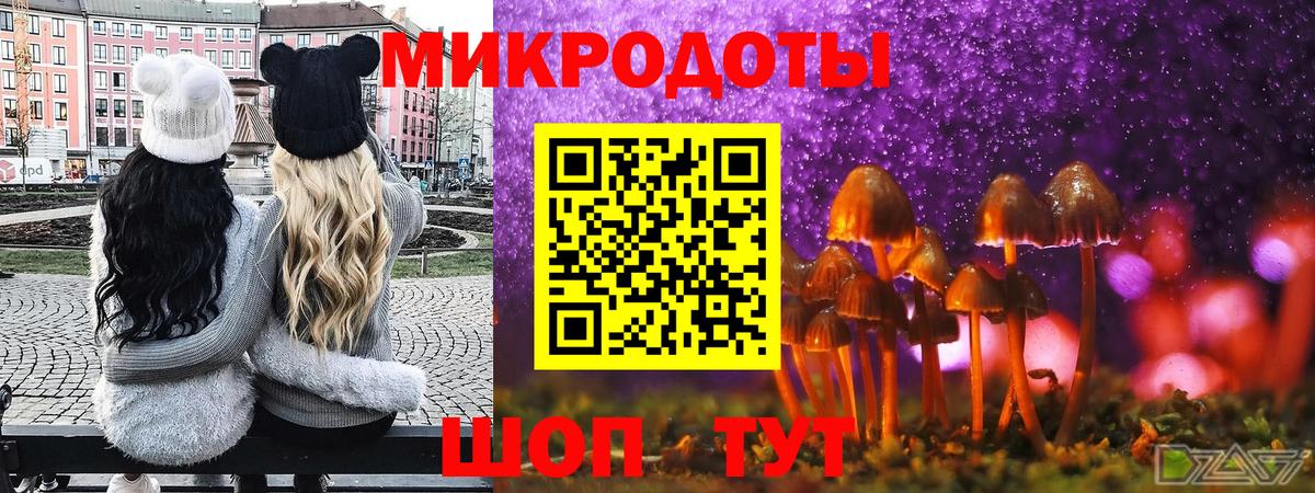 Псилоцибиновые грибы прущие грибы  Псилоцибиновые грибы Magic Shrooms  Волхов  купить наркоту  Вход с VPN 