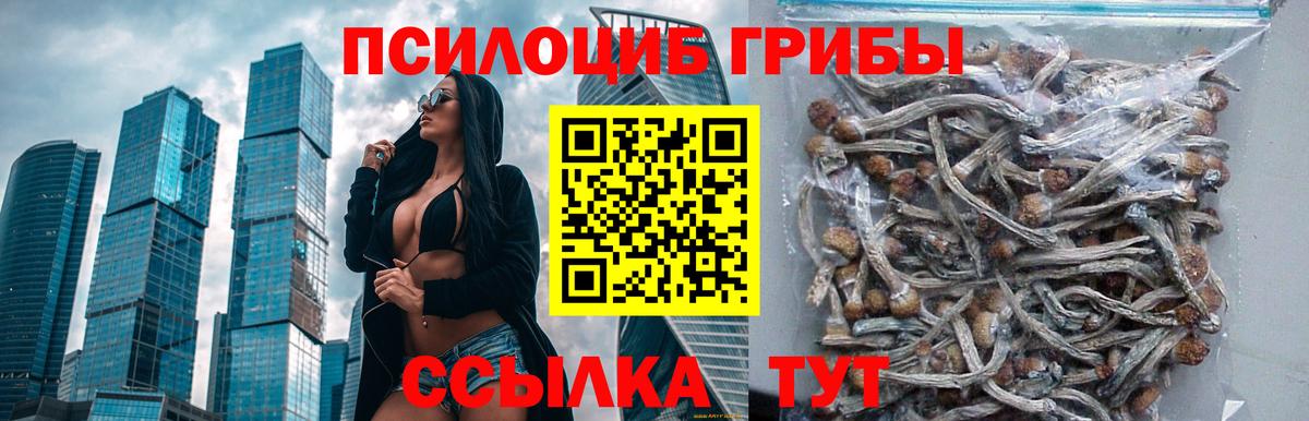 Галлюциногенные грибы мухоморы Волхов